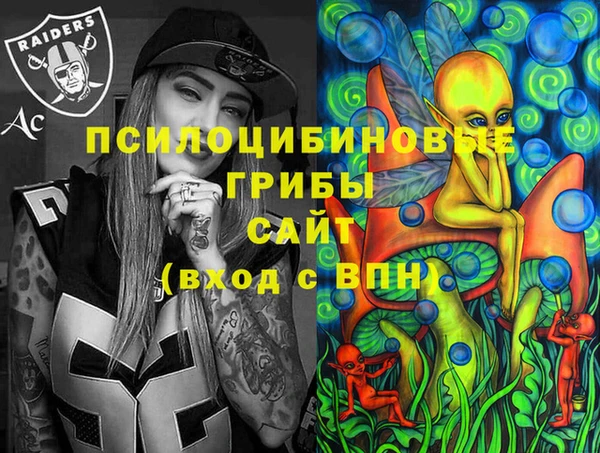 дмт Инта