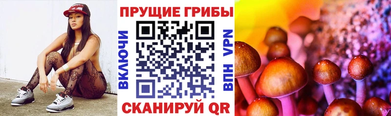 Псилоцибиновые грибы GOLDEN TEACHER  хочу   Костерёво 